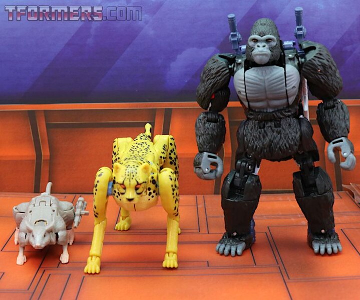 Transformers Kingdom Cheetor Wave 1 Deluxe Class  (28 of 34)